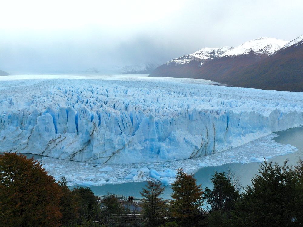 El Calafate17