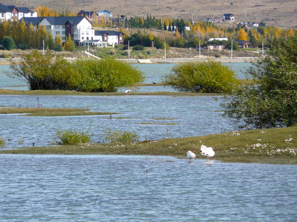 El Calafate182